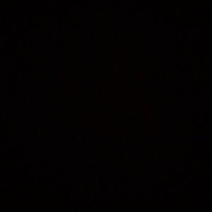 Meet your Posher, Gil